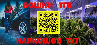 скорость Дубна