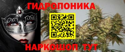скорость Дубна