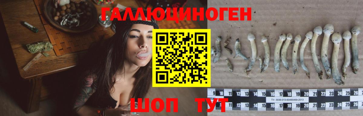 Псилоцибиновые грибы прущие грибы Луховицы
